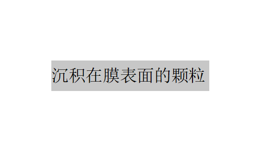 沉積在膜表面的顆粒主要受到哪兩個方向的力的作用？